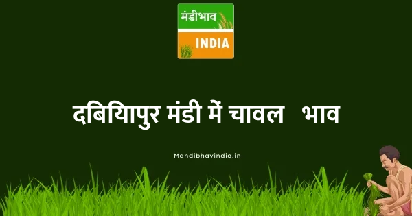 rice भाव